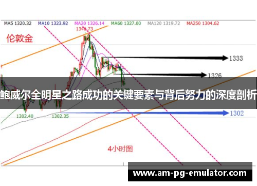鲍威尔全明星之路成功的关键要素与背后努力的深度剖析