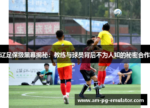 辽足保级黑幕揭秘：教练与球员背后不为人知的秘密合作
