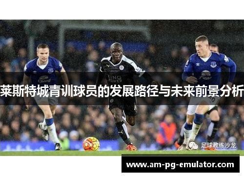 莱斯特城青训球员的发展路径与未来前景分析 莱斯特城青训球员的发展路径与未来前景分析