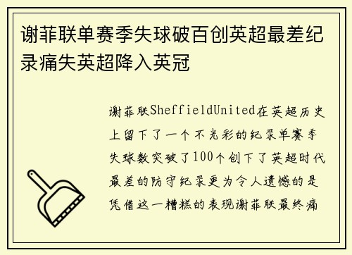 谢菲联单赛季失球破百创英超最差纪录痛失英超降入英冠 谢菲联单赛季失球破百创英超最差纪录痛失英超降入英冠