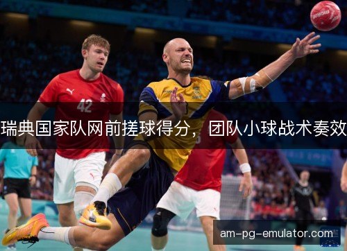瑞典国家队网前搓球得分，团队小球战术奏效